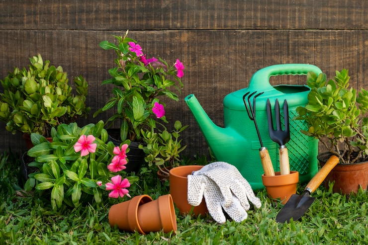 plants-pot-with-watering-can_23-2148905231
