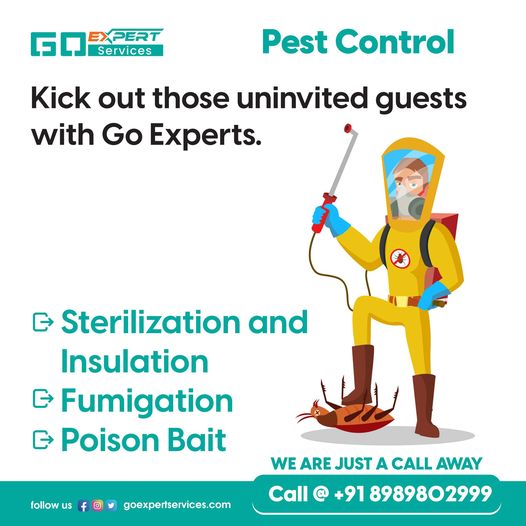 Effective Pest Control Services: Keeping Your Home Pest-Free and Safe