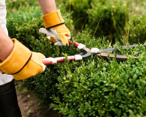 close-up-person-using-trimming-tool-bush_23-2148256665